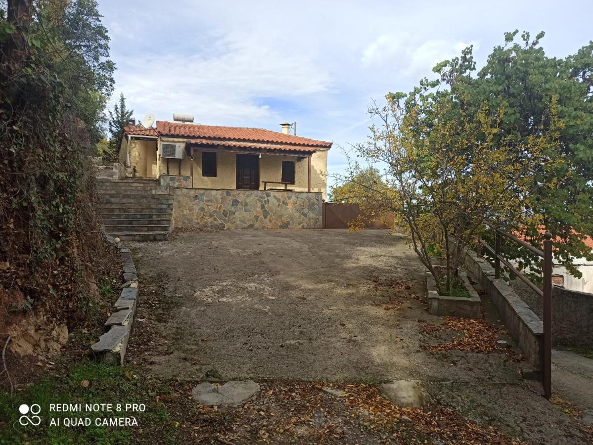 ספארטי Forestrock Studio For Sale Too מראה חיצוני תמונה